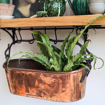 French Copper Poissoniere