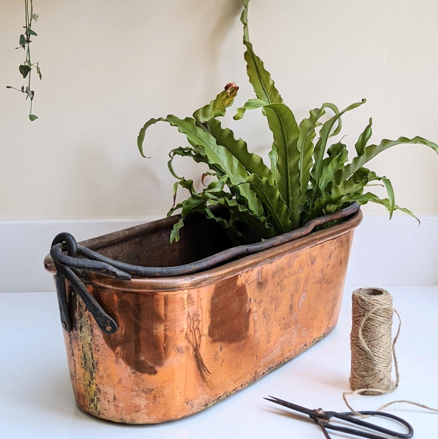 French Copper Poissoniere