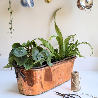 French Copper Poissoniere