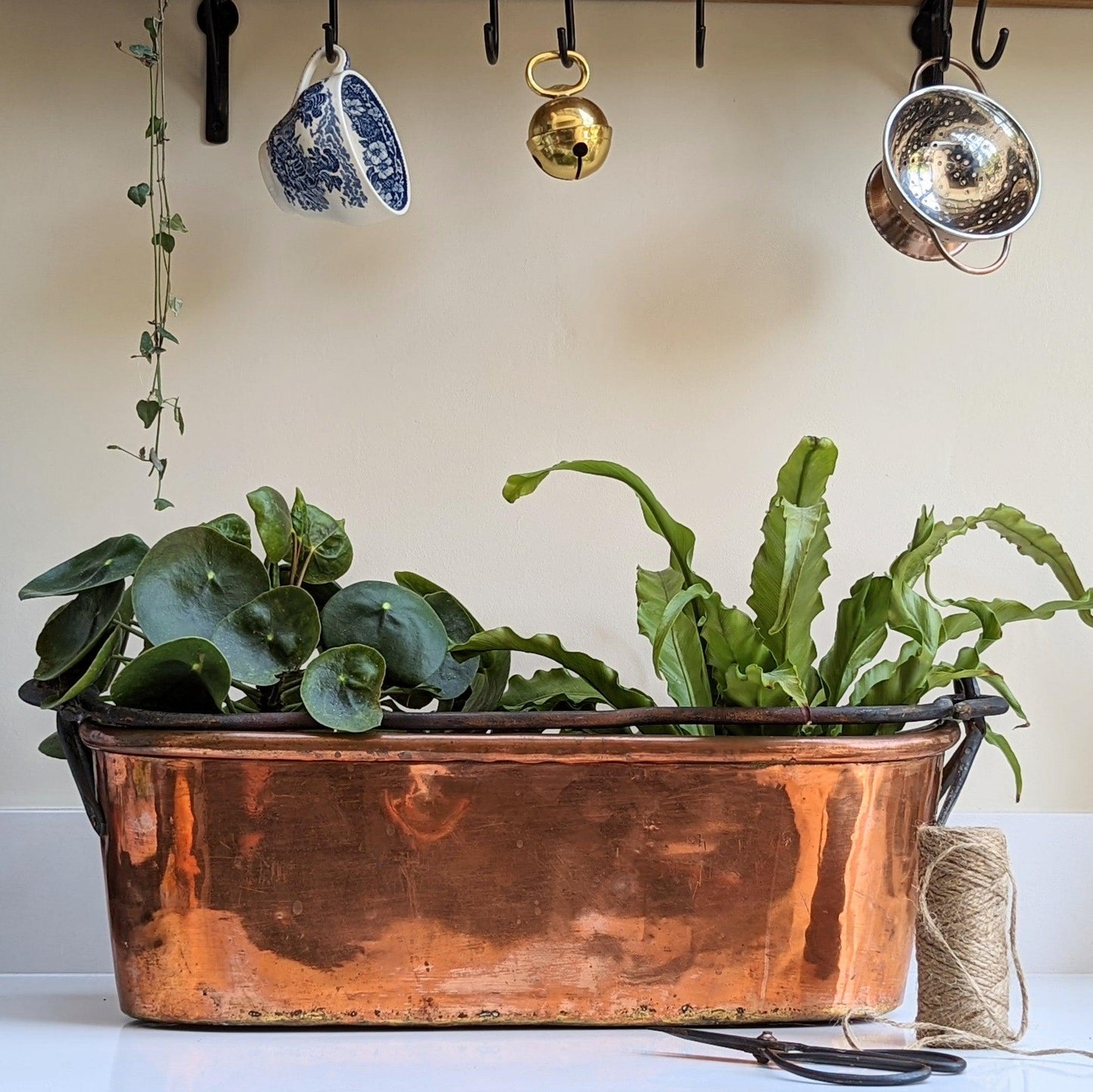 French Copper Poissoniere