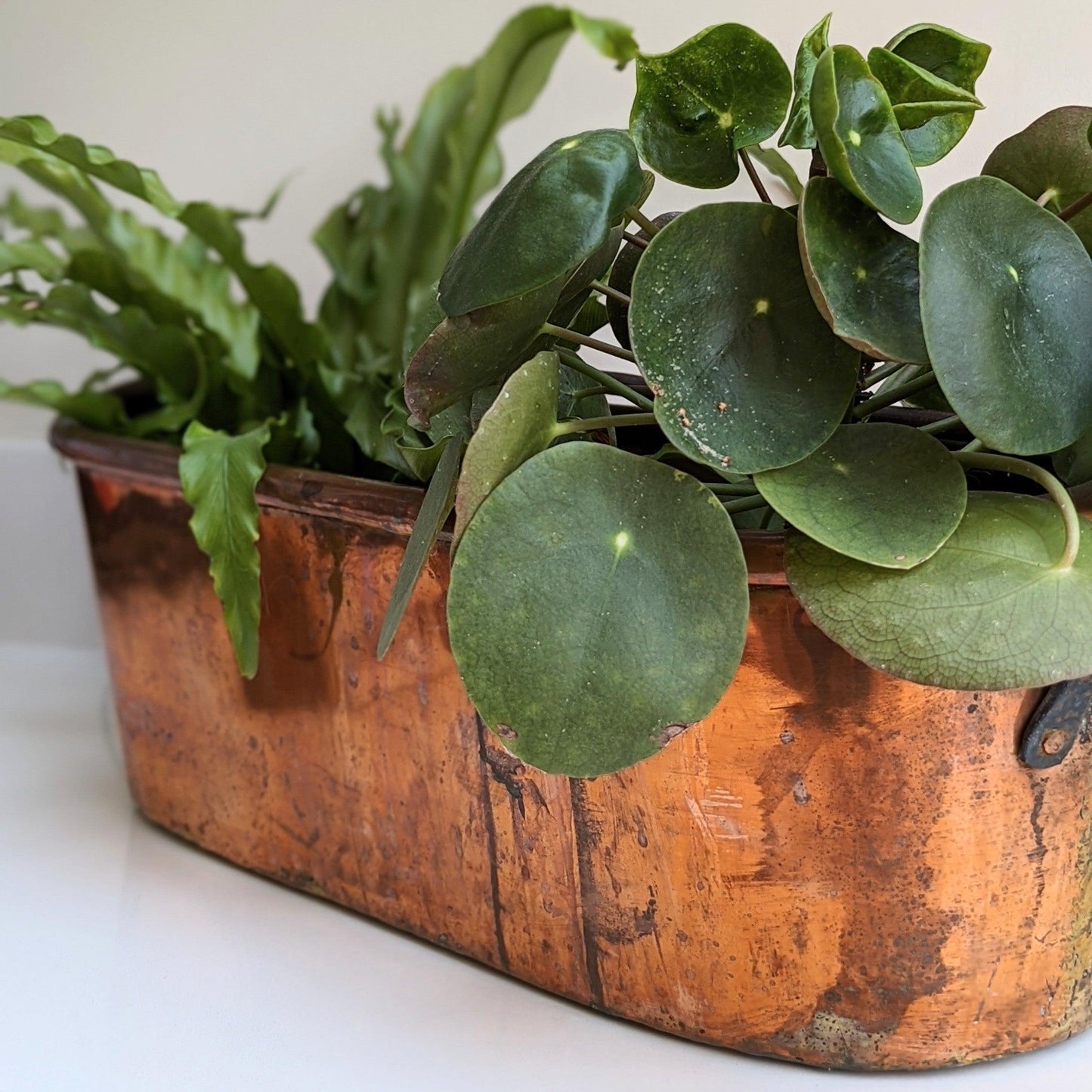 French Copper Poissoniere