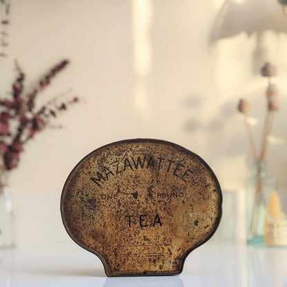 Scallop Shell Rustic Tin