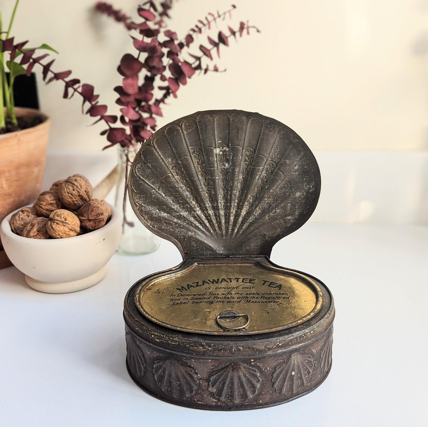 Scallop Shell Rustic Tin