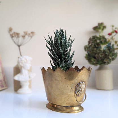 Brass Scallop Design Lion Planter