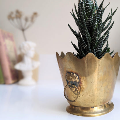 Brass Scallop Design Lion Planter
