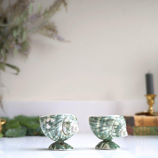 Small Pair of Shells on Stands