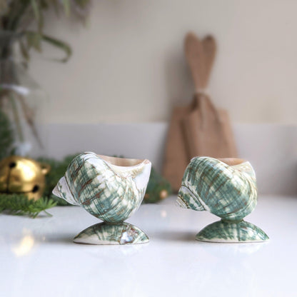 Small Pair of Shells on Stands